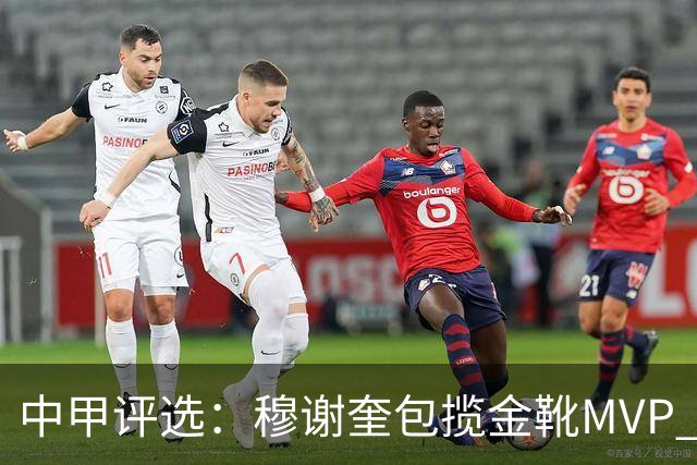 中甲评选：穆谢奎包揽金靴MVP 李金羽最佳教练
